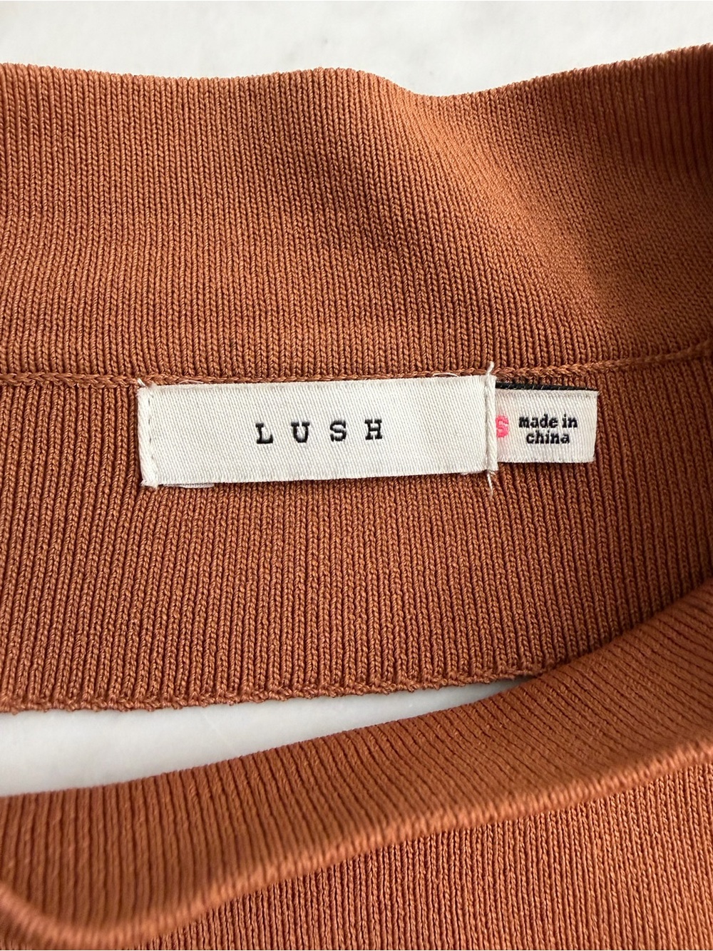 Lush Women's Crew Neck Sweater in Burnt Orange